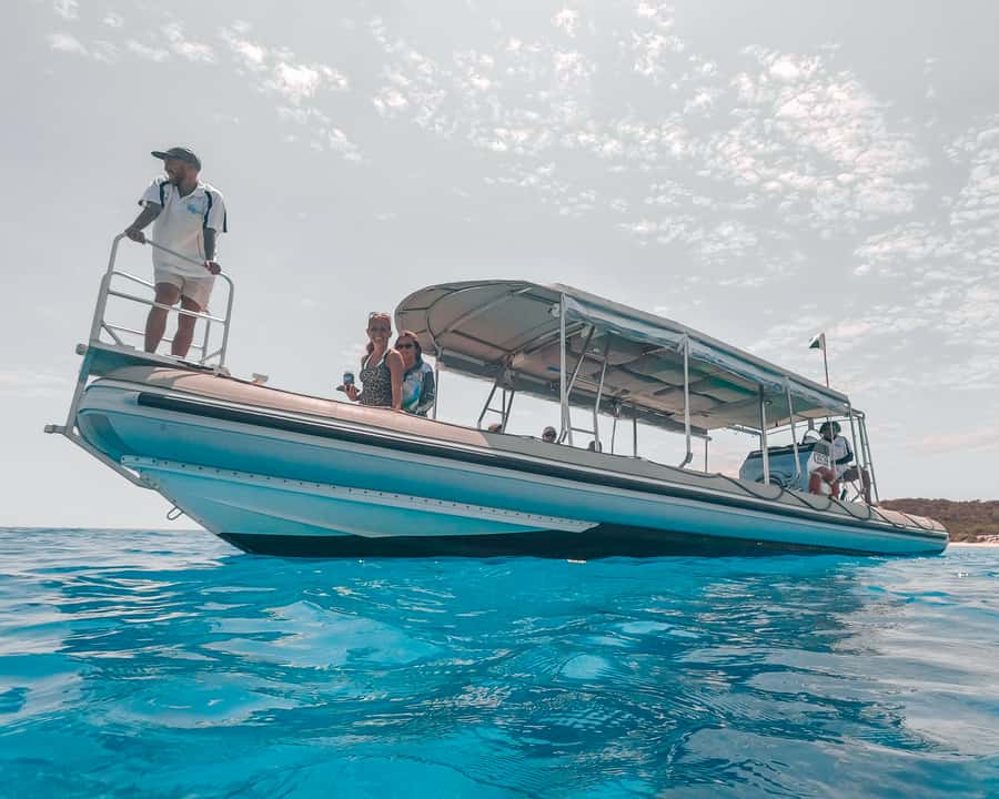 Hervey Bay: Half-Day Whale and Island Adventure by Boat - Music, speed, and the return through the straits