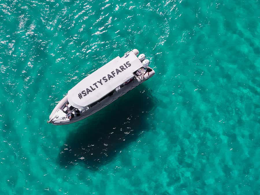 Hervey Bay: Half-Day Whale and Island Adventure by Boat - What the $116 price includes