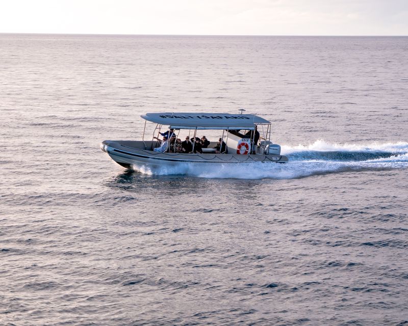 Hervey Bay: Half-Day Whale and Island Adventure by Boat - What to wear and bring for the open boat