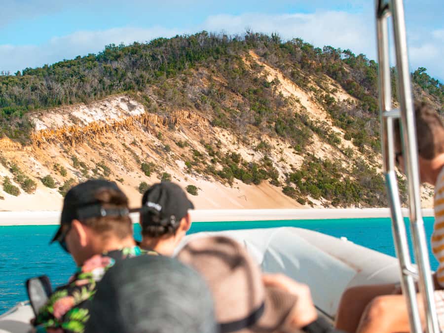Hervey Bay: Half-Day Whale and Island Adventure by Boat - From Urangan Marina to Platypus Bay