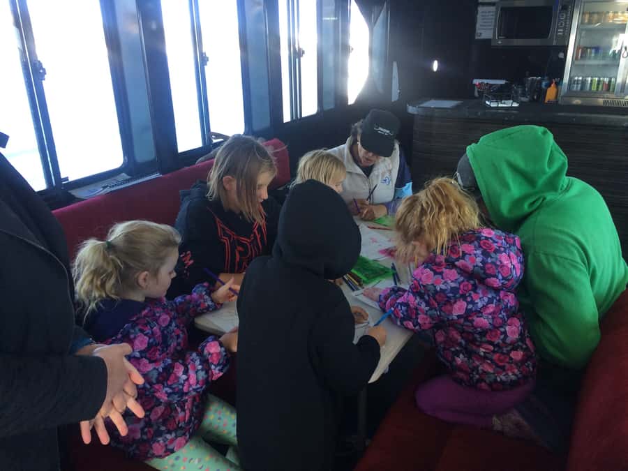Hervey Bay: Half-Day Whale Watching Cruise with Meal - Food on a moving catamaran