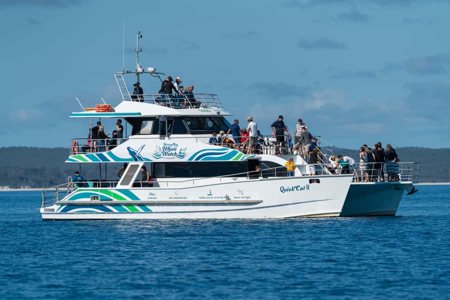 Hervey Bay: Humpback Whale-Watching Half-Day Cruise - Finding whales in the Great Sandy Strait