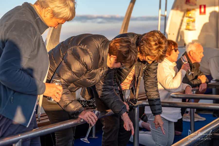 Hervey Bay: Relaxing Sunset Cruise with Champagne and Prawns - Key points to know before you book