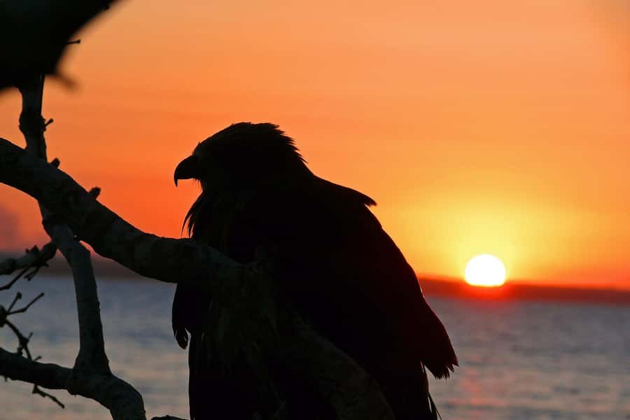 Hervey Bay: Relaxing Sunset Cruise with Champagne and Prawns - Butchulla names and the meaning of place