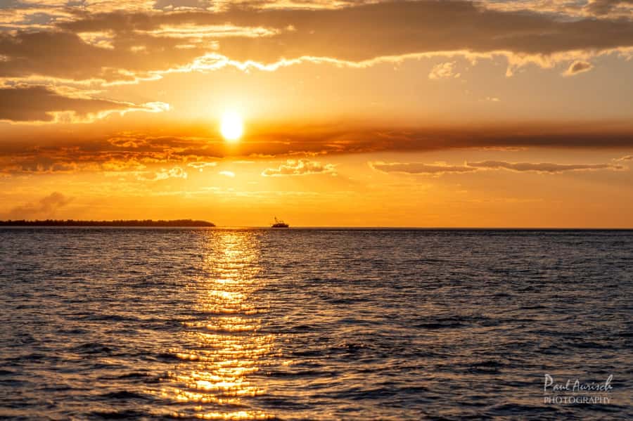Hervey Bay: Relaxing Sunset Cruise with Champagne and Prawns - Weenandin, Round Island, and the shallow-water landing