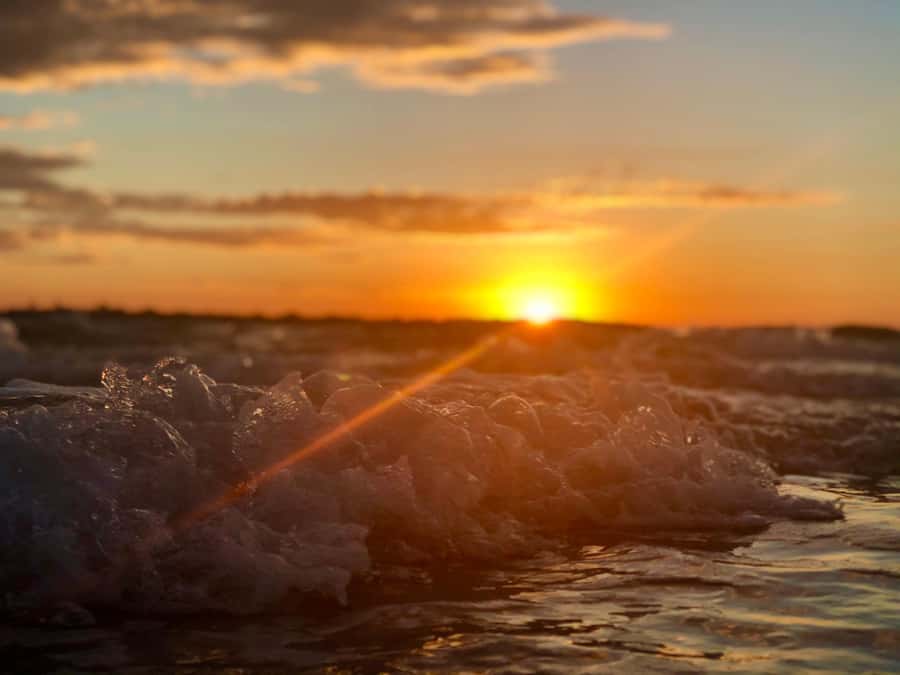 Hervey Bay: Relaxing Sunset Cruise with Champagne and Prawns - Coral below the glass panels