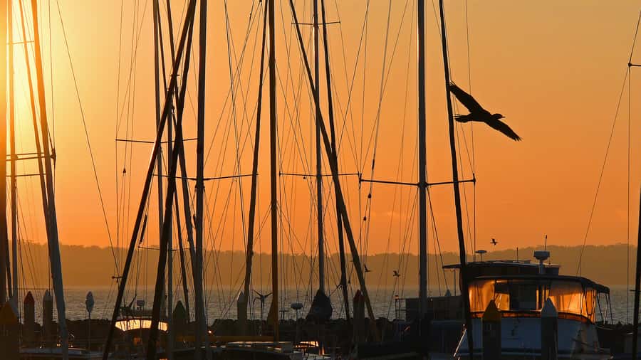 Hervey Bay: Relaxing Sunset Cruise with Champagne and Prawns - Sunset beside Urangan Pier