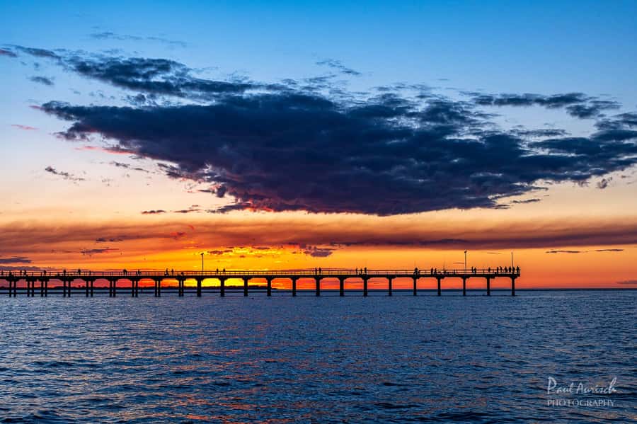 Hervey Bay: Relaxing Sunset Cruise with Champagne and Prawns - King prawns, grazing food, and one included drink
