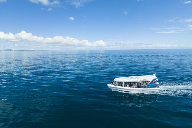 Hervey Bay Ultimate Whale Watching Cruise - Why Hervey Bay is a good place to watch whales