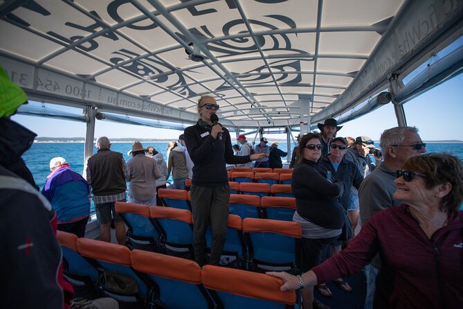 Hervey Bay Ultimate Whale Watching Cruise - What the strongest whale encounters can look like