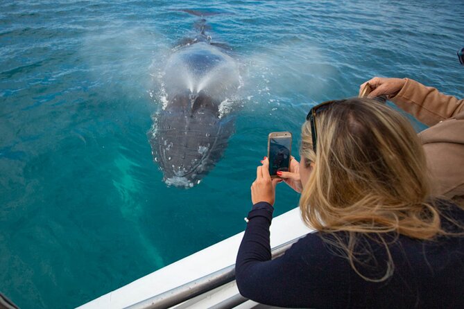 Hervey Bay Ultimate Whale Watching Cruise - Food, drinks, and family details