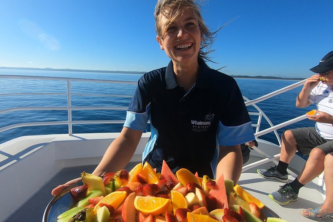 Hervey Bay Whale Watching Experience - Key points to know before you sail