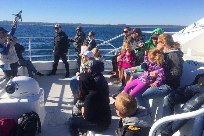 Hervey Bay Whale Watching Experience - Pickup from Hervey Bay accommodation