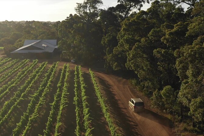 Hidden Gems: Boutique Full-Day Wine, Farm & Lunch Tour - Chocolate, coffee, and a short specialty stop