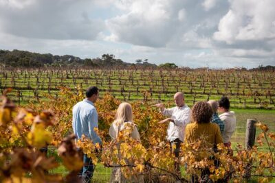 Hidden Gems: Boutique Full-Day Wine, Farm & Lunch Tour