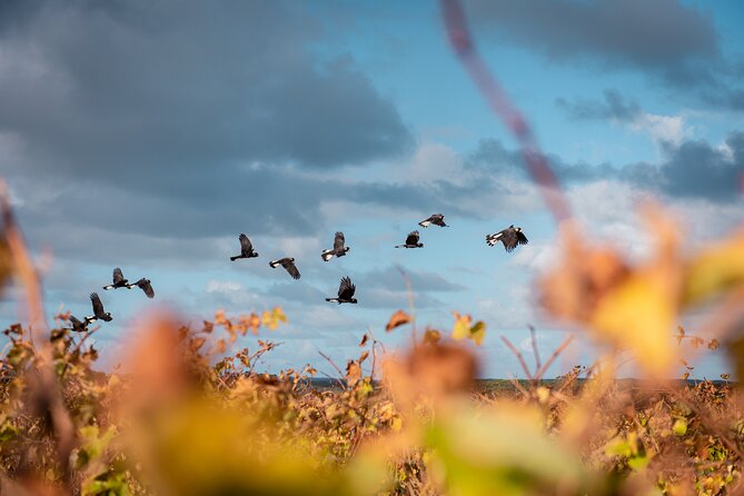 Hidden Gems: Boutique Full-Day Wine, Farm & Lunch Tour - Who should book this Margaret River day tour?