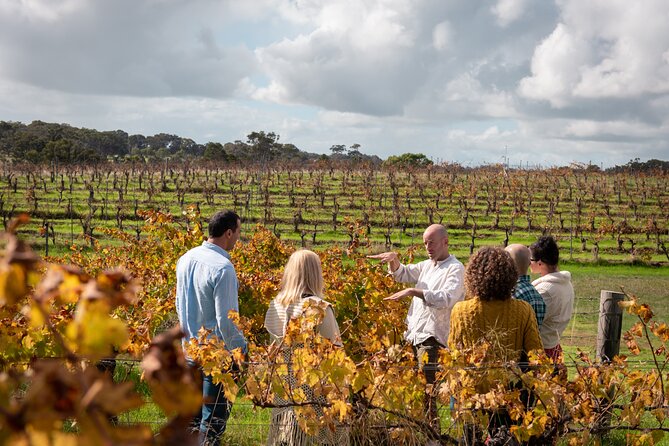 Hidden Gems: Boutique Full-Day Wine, Farm & Lunch Tour - Morning tea with alpacas and emus
