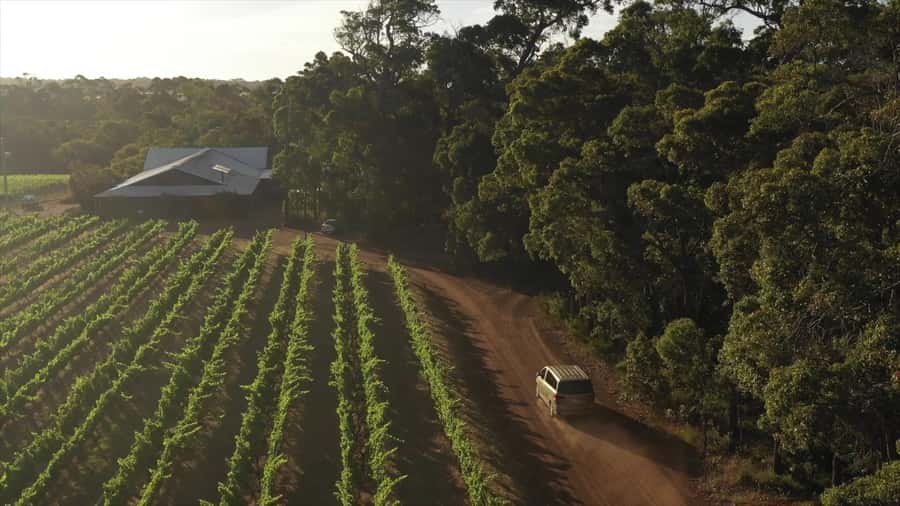 Hidden Gems Margaret River: Authentic Wine & Farm Experience - Three wineries with different personalities