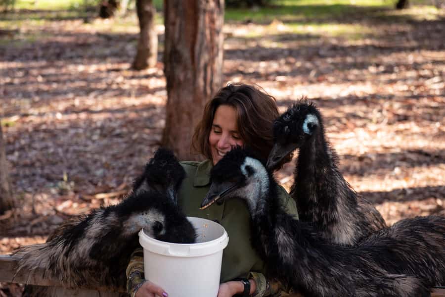 Hidden Gems Margaret River: Authentic Wine & Farm Experience - Olive farm lunch at Olio Bello