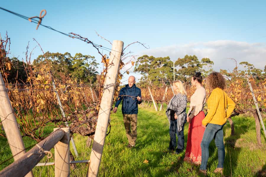 Hidden Gems Margaret River: Authentic Wine & Farm Experience - Who should book this Margaret River tour?