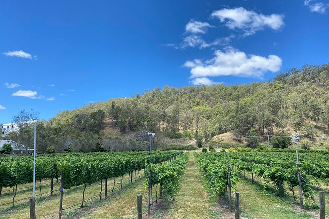 Hinterland Heritage Wine Tour - The guide can make or break the day