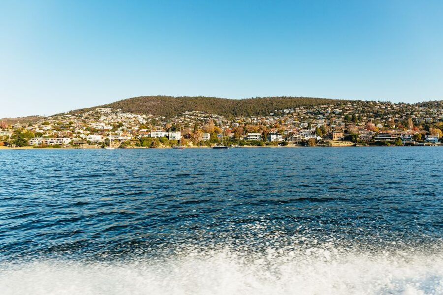 Hobart: 2.5-hour Iron Pot Lighthouse Cruise - Betsey Island, seabirds, and the open edge of Storm Bay