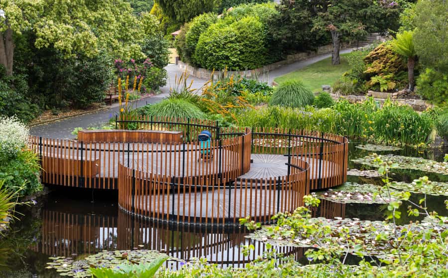 Hobart: 3-Hour City Sightseeing Tour - Rosny Hill for the wide view