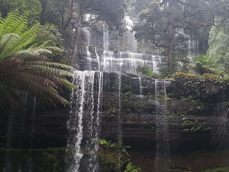 Hobart: 4 Day Wild Tasmania Tour - Key details at a glance