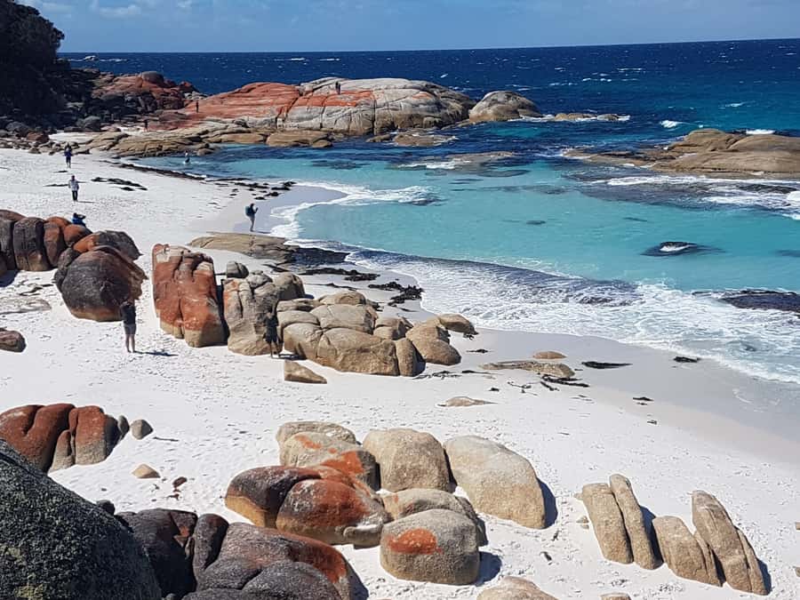 Hobart: 4 Day Wild Tasmania Tour - Russell Falls brings you into Tasmania’s rainforest