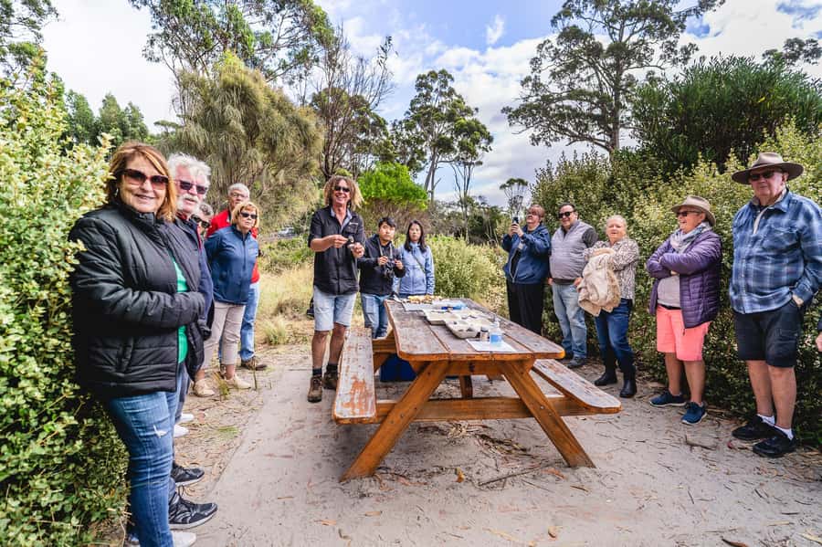 Hobart: Bruny Island Food, Sightseeing & Lighthouse Day Tour - Honey, chocolate and fudge without forced shopping