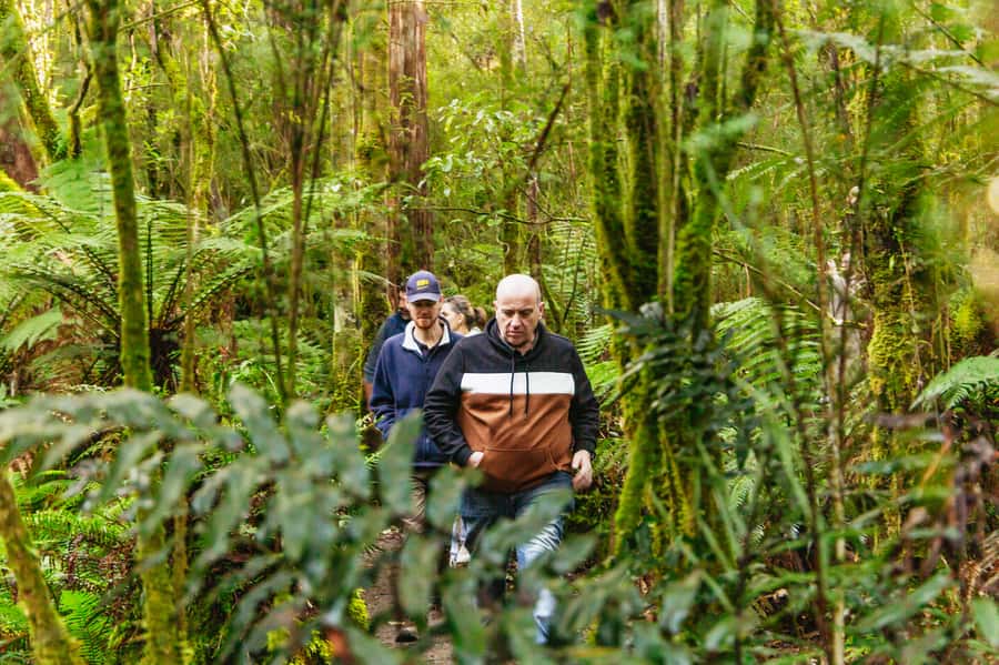 Hobart: Bruny Island Gourmet Sightseeing Day Tour - Why this Bruny Island day works so well
