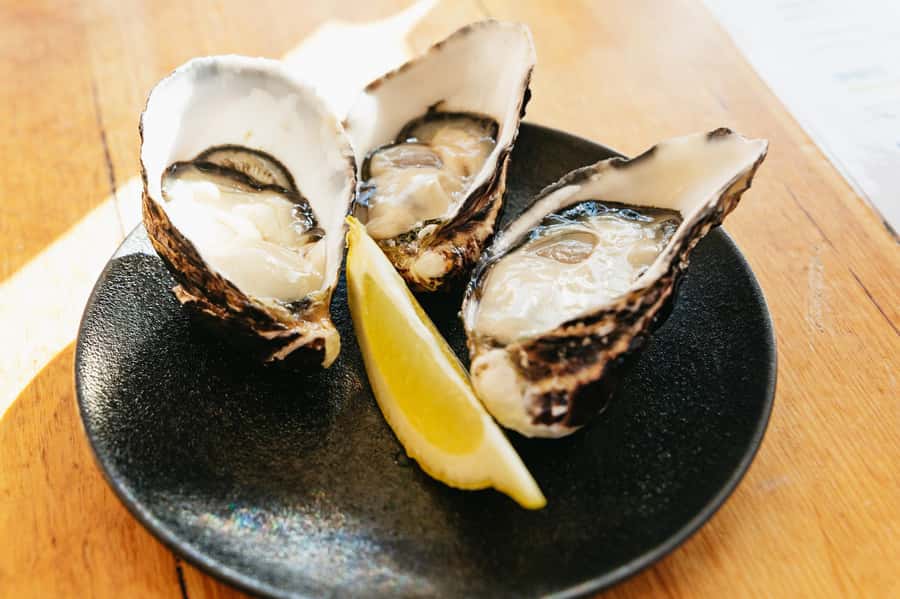Hobart: Bruny Island Gourmet Sightseeing Day Tour - Mavista Rainforest and the greener side of Bruny