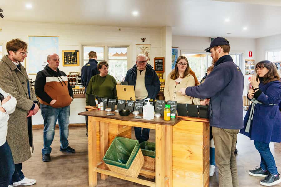 Hobart: Bruny Island Gourmet Sightseeing Day Tour - Is $194 a good value?