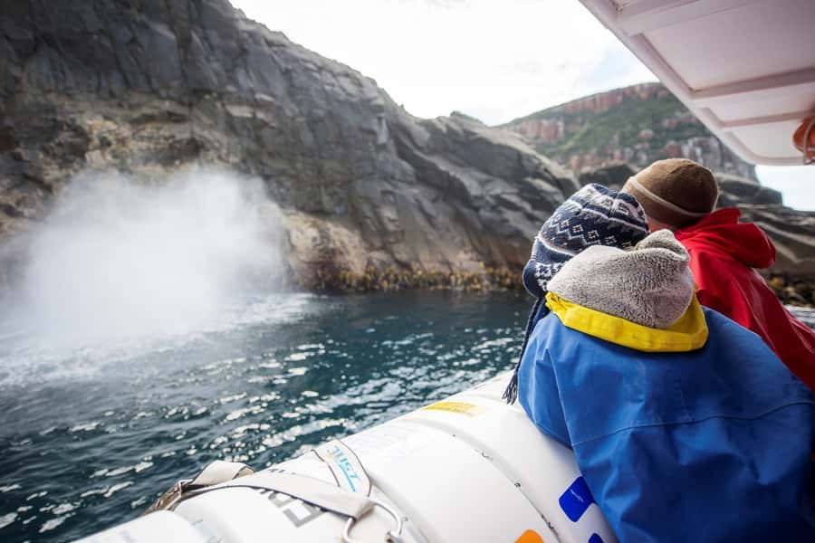 Hobart: Bruny Island Wilderness Coast Eco Cruise with Lunch - The best parts of the Bruny Island day