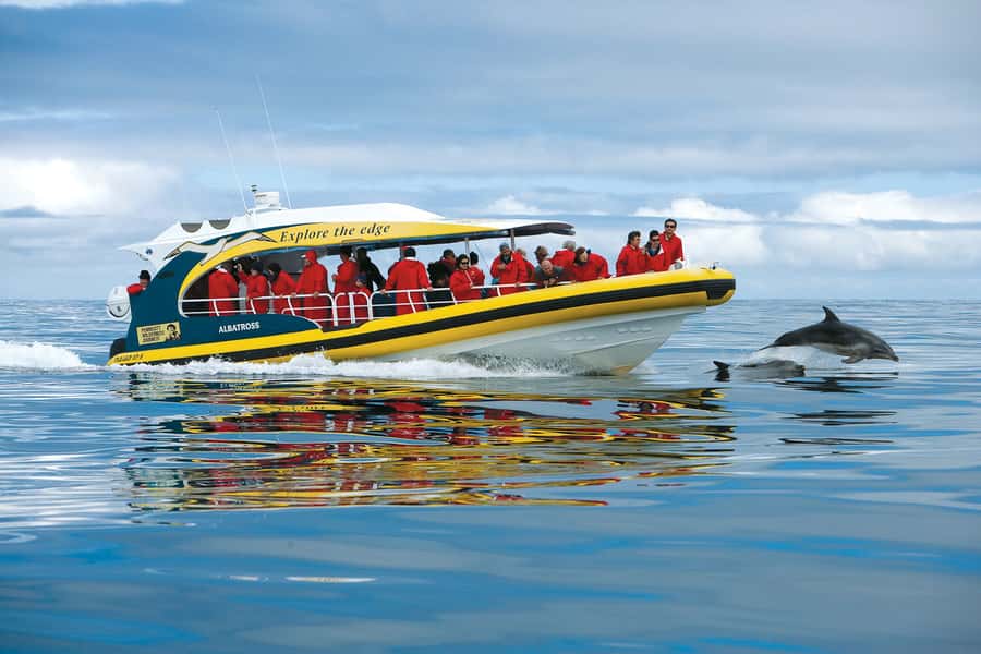 Hobart: Bruny Island Wilderness Coast Eco Cruise with Lunch - Hobart to Bruny Island by coach and ferry