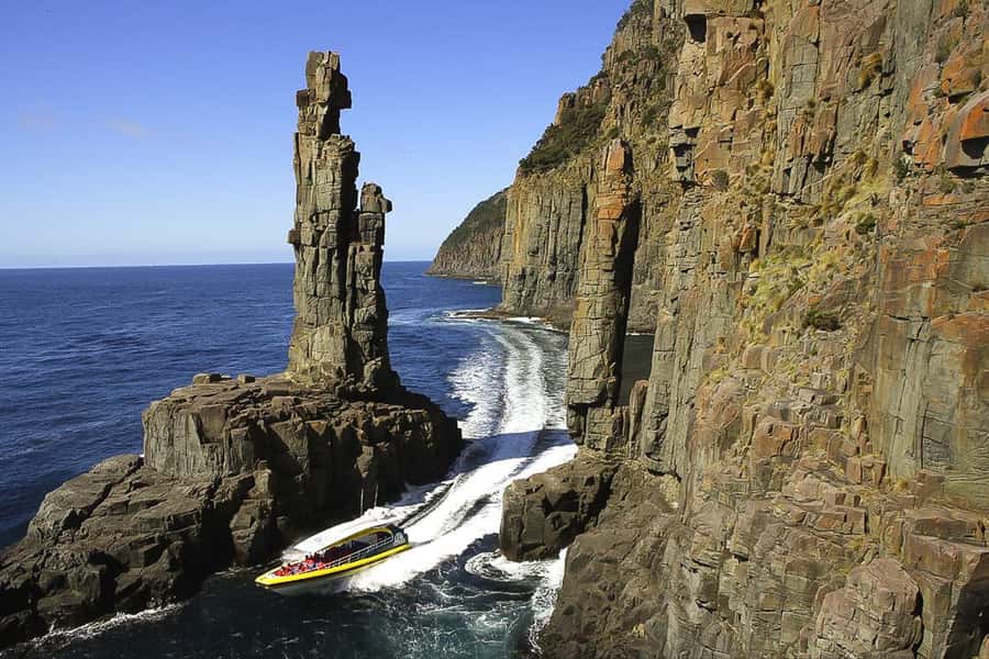 Hobart: Bruny Island Wilderness Coast Eco Cruise with Lunch - Morning tea and the road to Adventure Bay