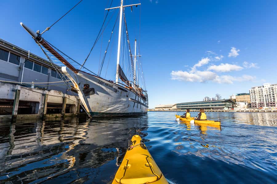 Hobart City 2.5-Hour Kayak Tour - Is $84 per person fair?