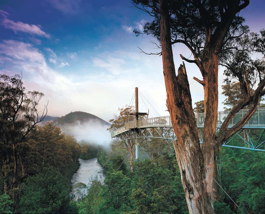 Hobart: Hastings Cave, Tahune Airwalk and Huon Tasting Trail - Key points to know before you book