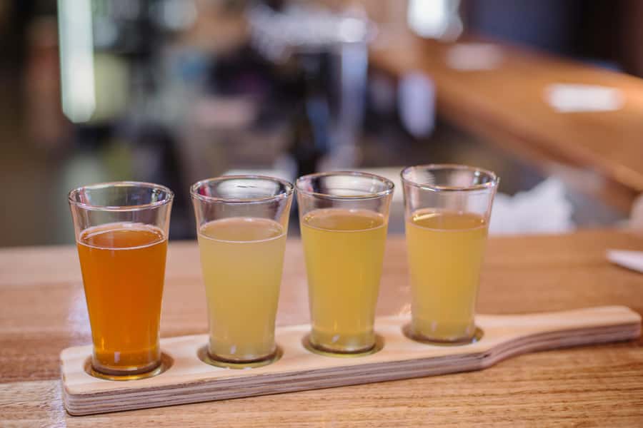 Hobart: Hastings Cave, Tahune Airwalk and Huon Tasting Trail - Guides can make the long day work
