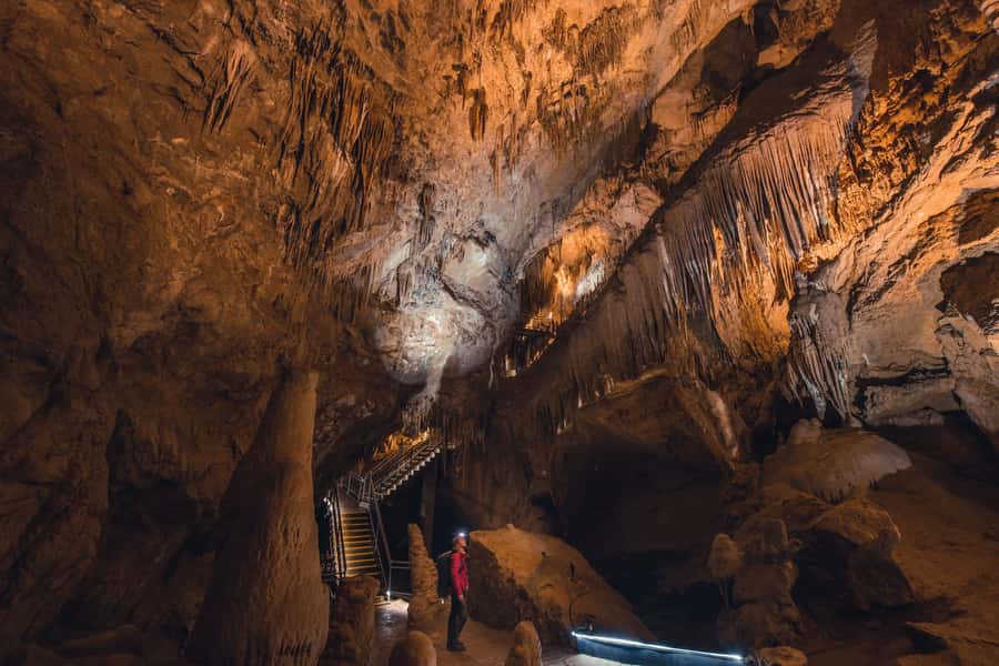 Hobart: Hastings Cave, Tahune Airwalk and Huon Tasting Trail - Who should book this outing?