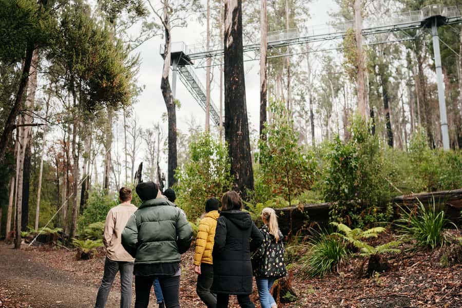 Hobart: Hastings Cave, Tahune Airwalk and Huon Tasting Trail - Three ways to spend two hours at Tahune Airwalk