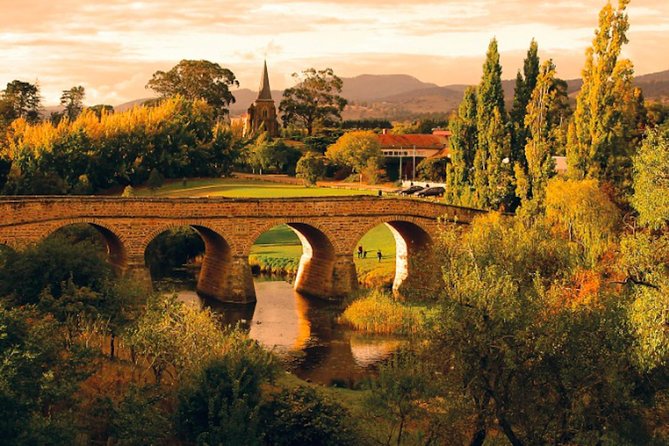 Hobart Highlights Day Tour - Tasting Tasmania at Wicked Cheese