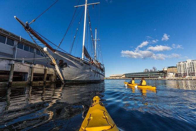 Hobart Kayak Tour - Weather, clothing, and physical effort