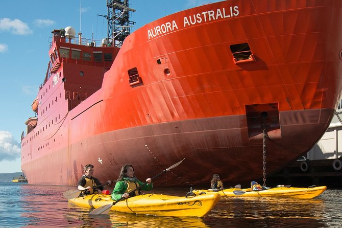 Hobart Kayak Tour - Who will enjoy this most