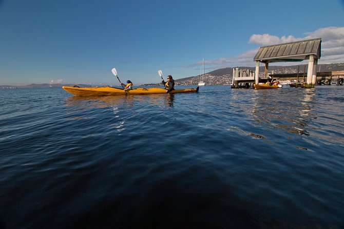 Hobart Kayak Tour - Fish and chips in the harbor