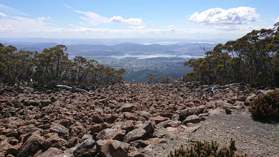 Hobart: kunanyi/Mt Wellington Explorer Bus Pass - Who should take this bus