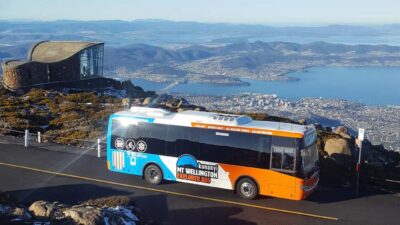 kunanyi/Mt Wellington Explorer Bus Pass