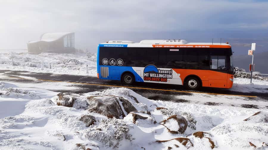 Hobart: kunanyi/Mt Wellington Explorer Bus Pass - Practical comfort, access, and timing