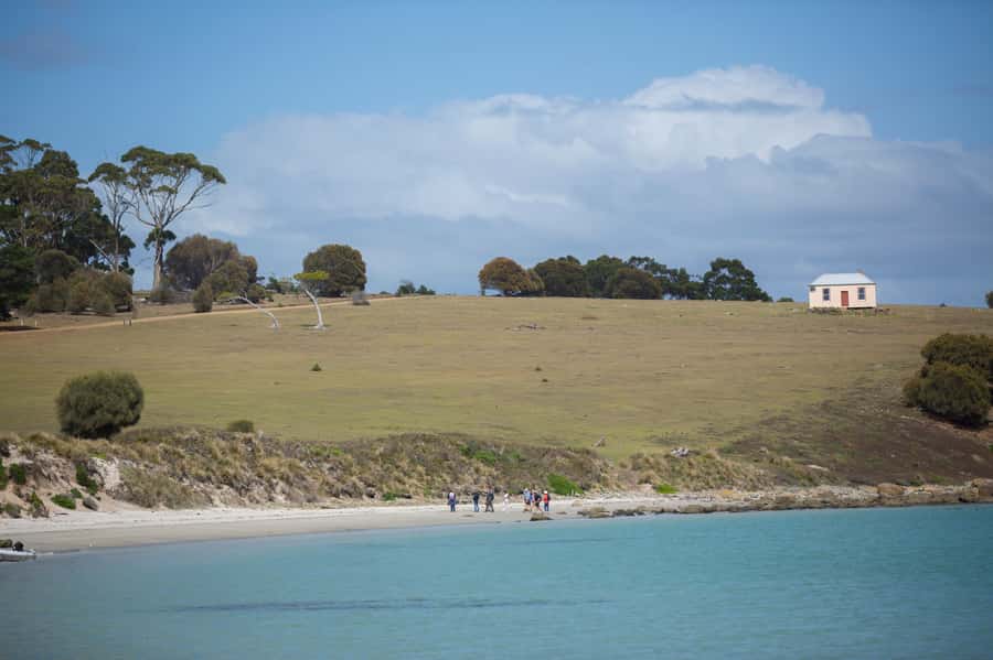 Hobart: Maria Island National Park Active Full-Day Tour - Small-group guiding and the human side of the tour