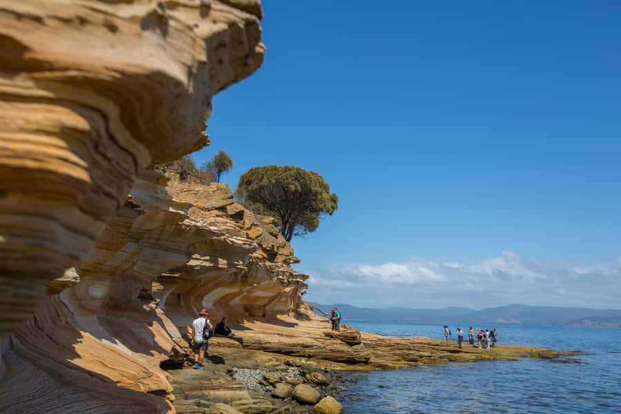 Hobart: Maria Island National Park Active Full-Day Tour - Why Maria Island makes such a good day trip from Hobart